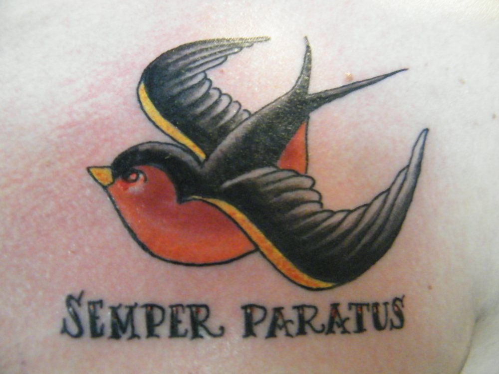 Paratus tattoo semper Semper /